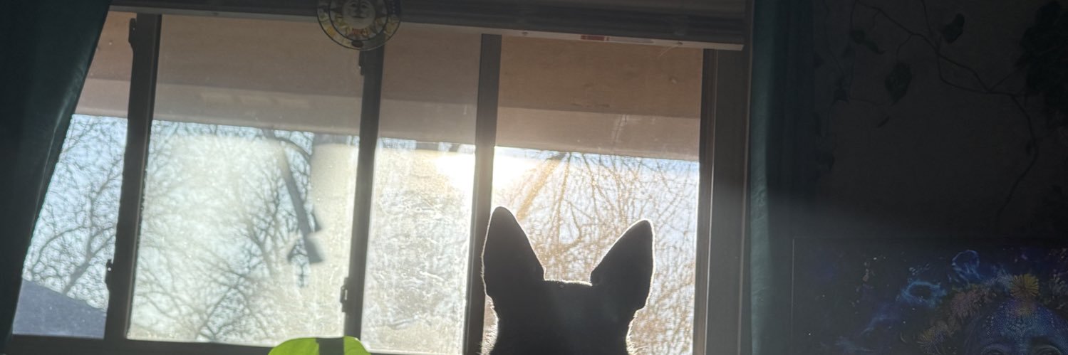 caaaarter_'s profile banner image