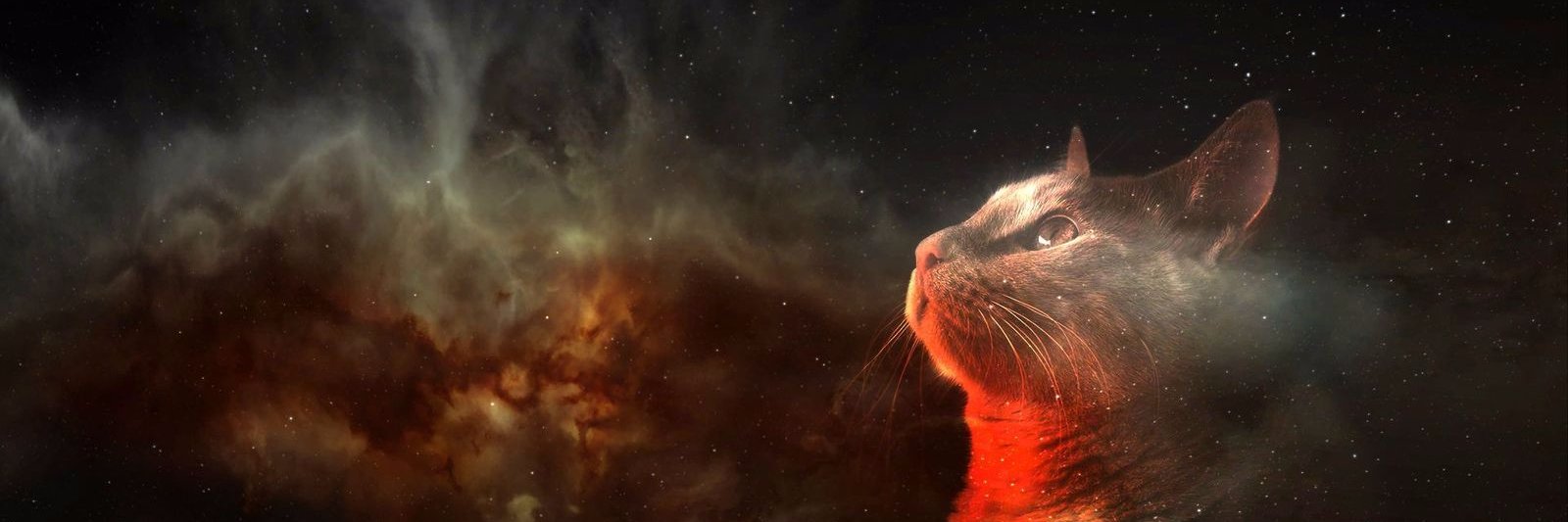 furches22's profile banner image