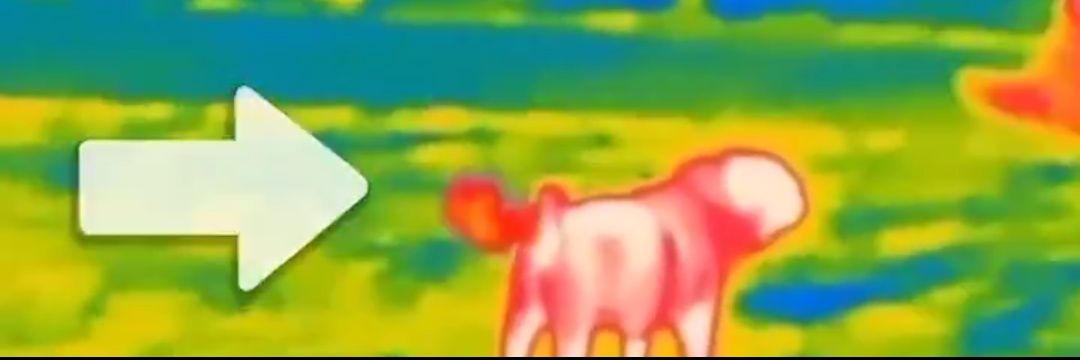 D4ml's profile banner image