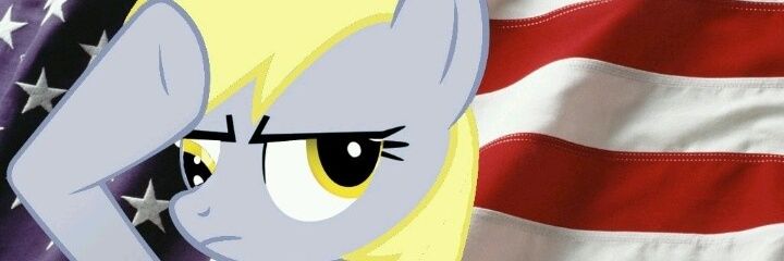 DerpyHooves777's profile banner image