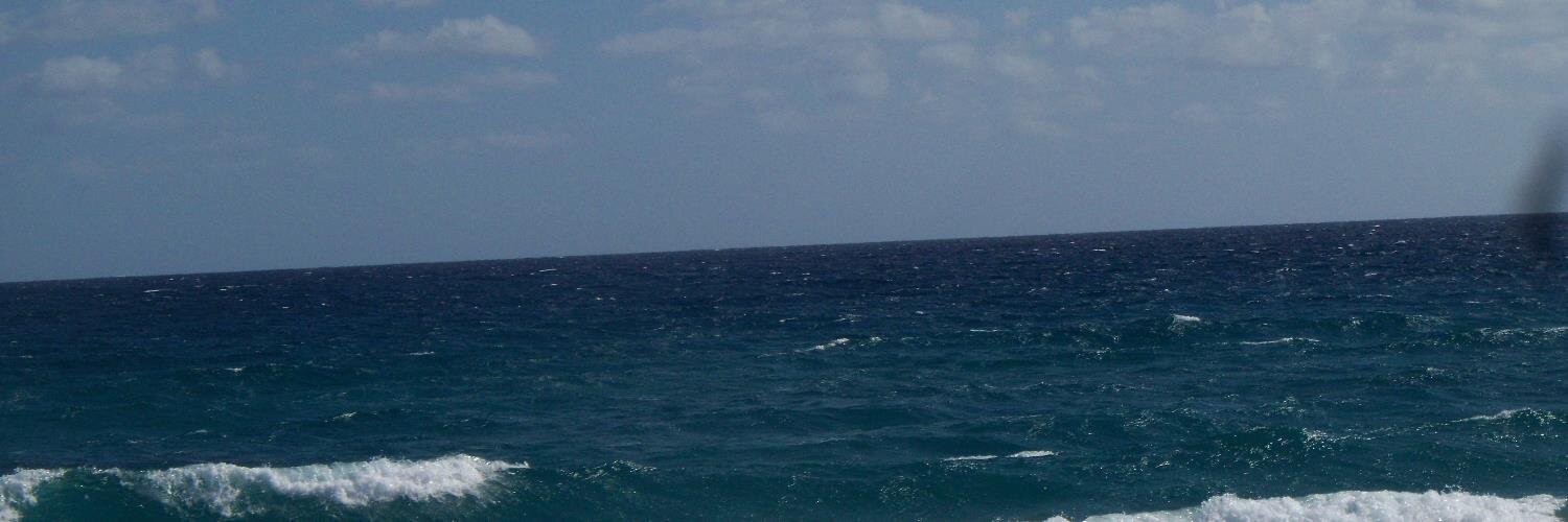 Luis Planas banner
