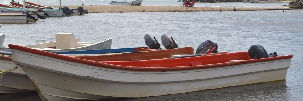 cplpesca's profile banner image
