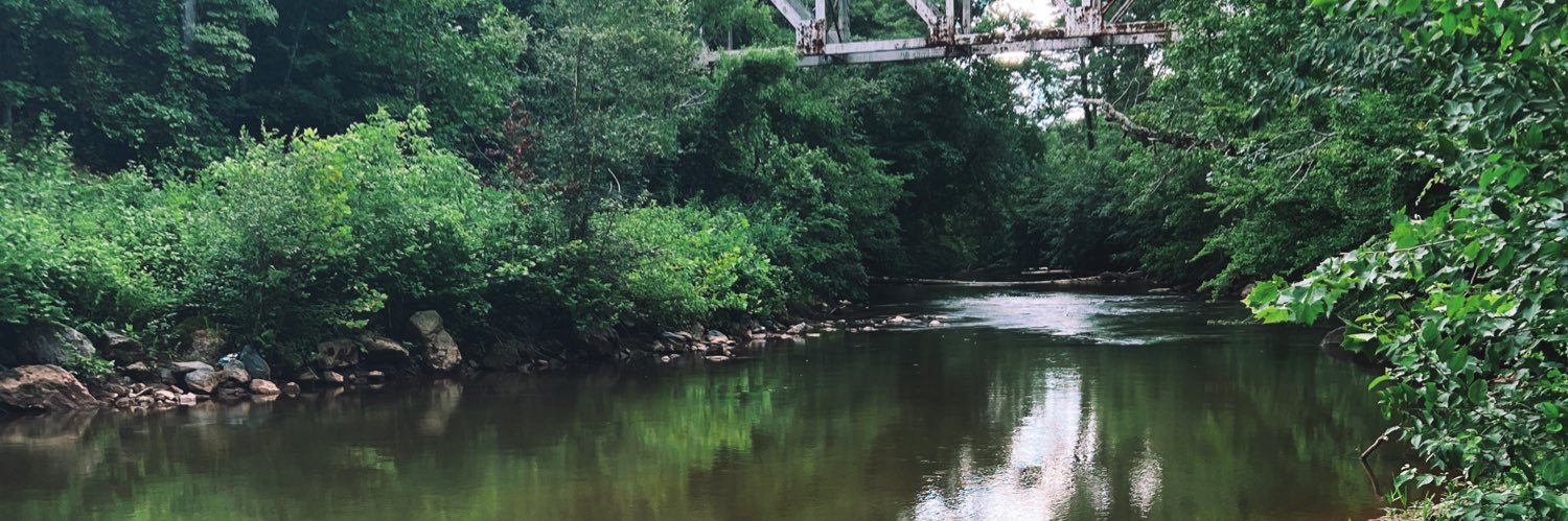 Emilylicor_'s profile banner image