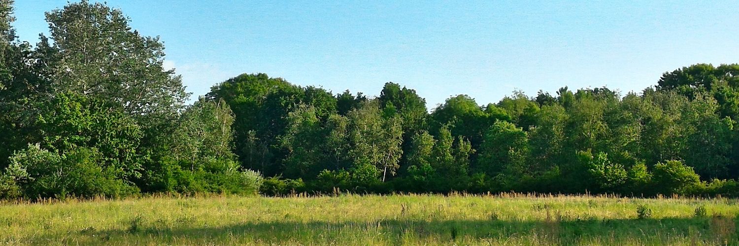 Giobarison's profile banner image