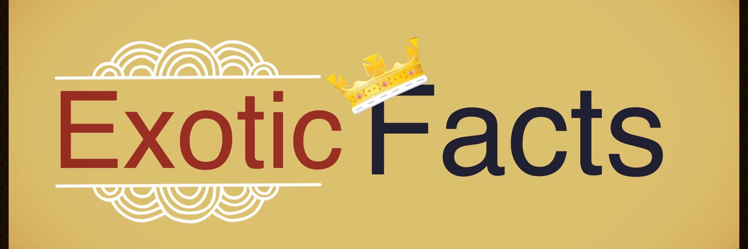 ExoticThinkings's profile banner image
