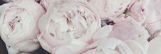 madie_arm's profile banner image