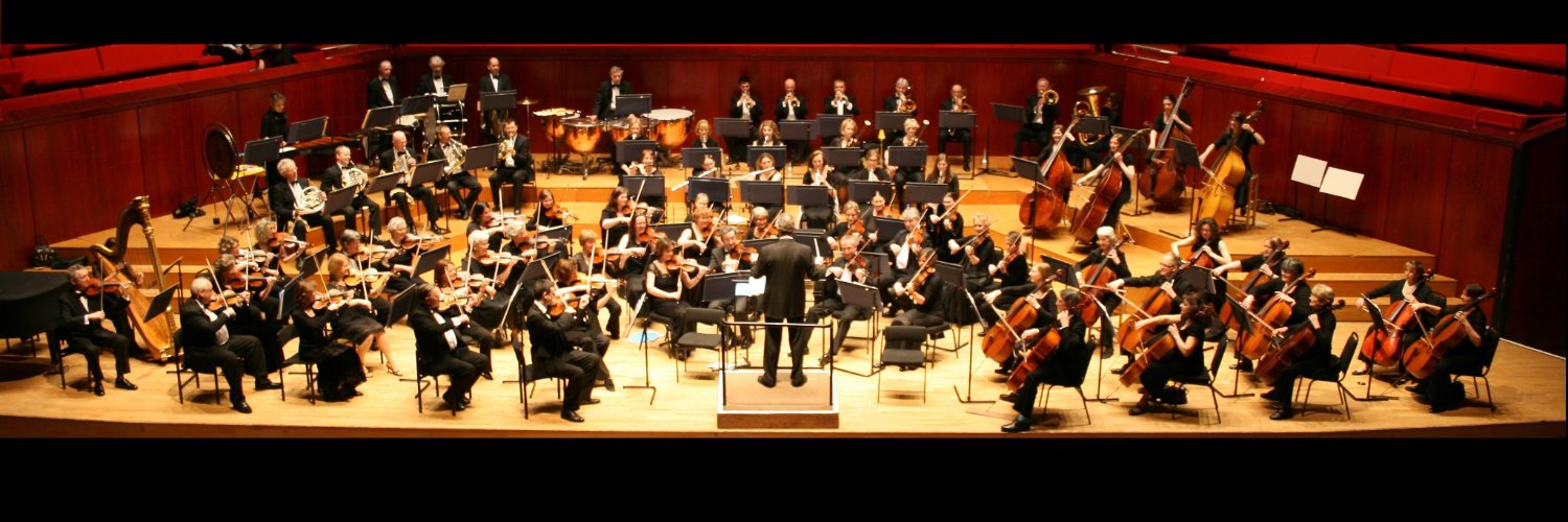 Henley Symphony Orch banner