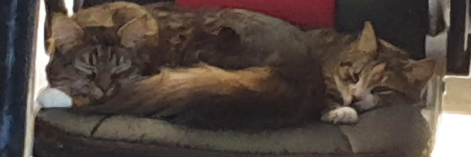 𝘈𝘴𝘩𝘭𝘦𝘺 𝘚𝘮𝘪𝘵𝘩 banner