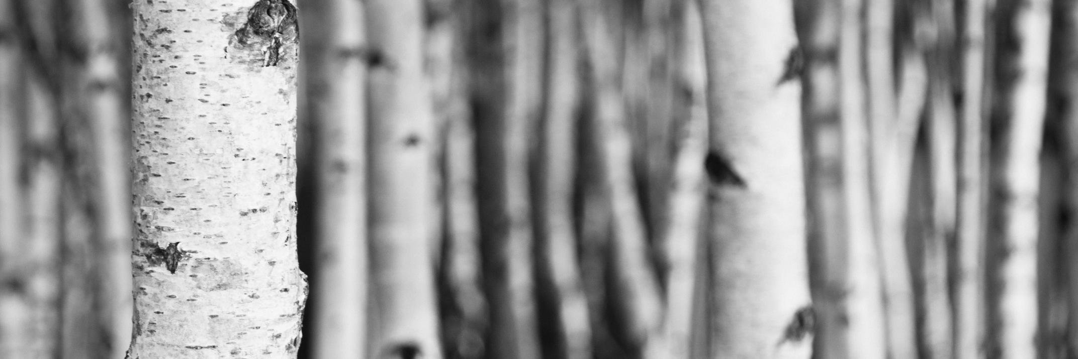 beLarge's profile banner image