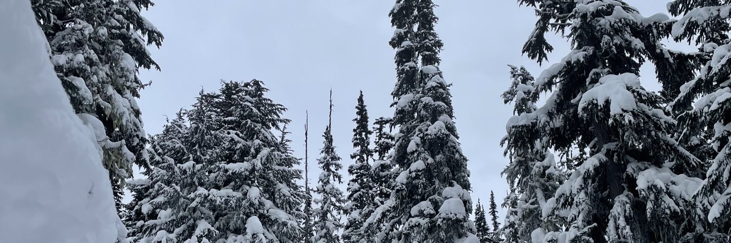 saixo_'s profile banner image