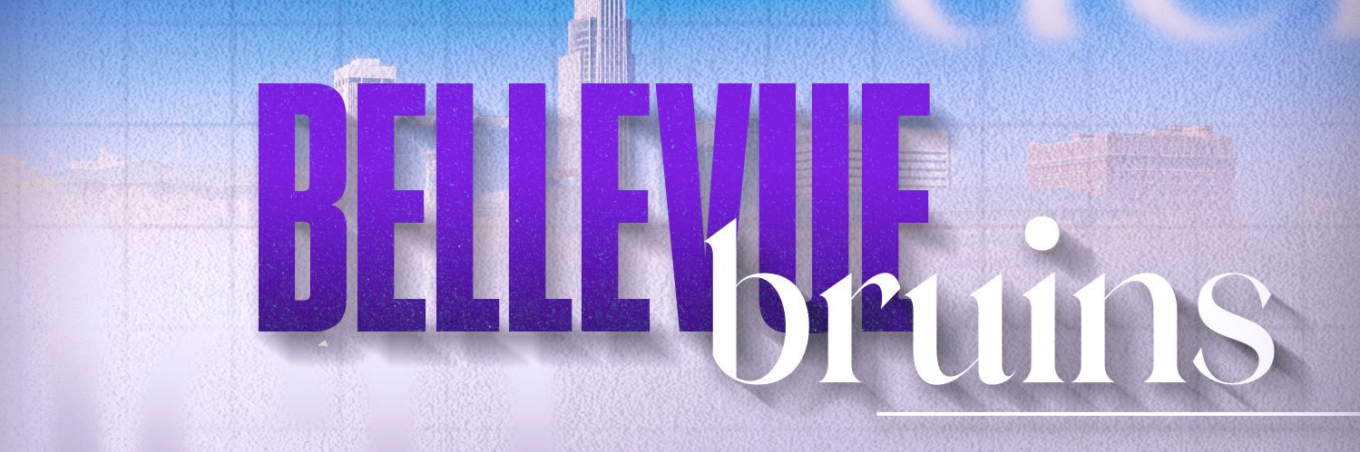 Bellevue U. Baseball banner