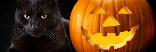 ltoledod's profile banner image
