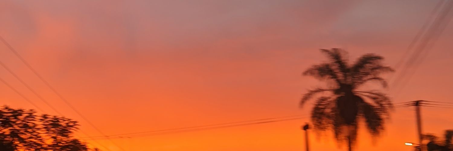 MelBordon2's profile banner image