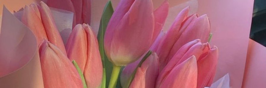 arrielcatherine's profile banner image