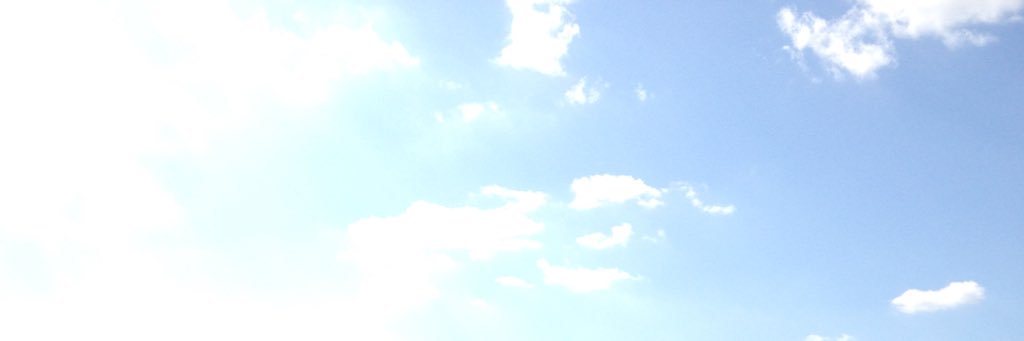 @dallaslane11 banner