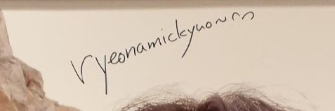 ryeonamickyuo's profile banner image