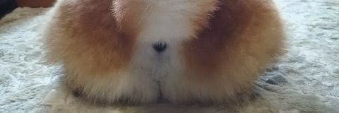 365ma_chi's profile banner image