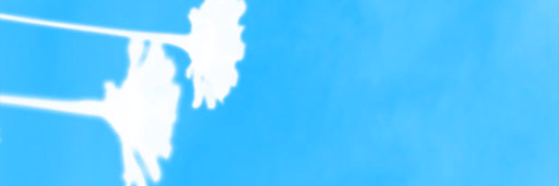 miramu7's profile banner image