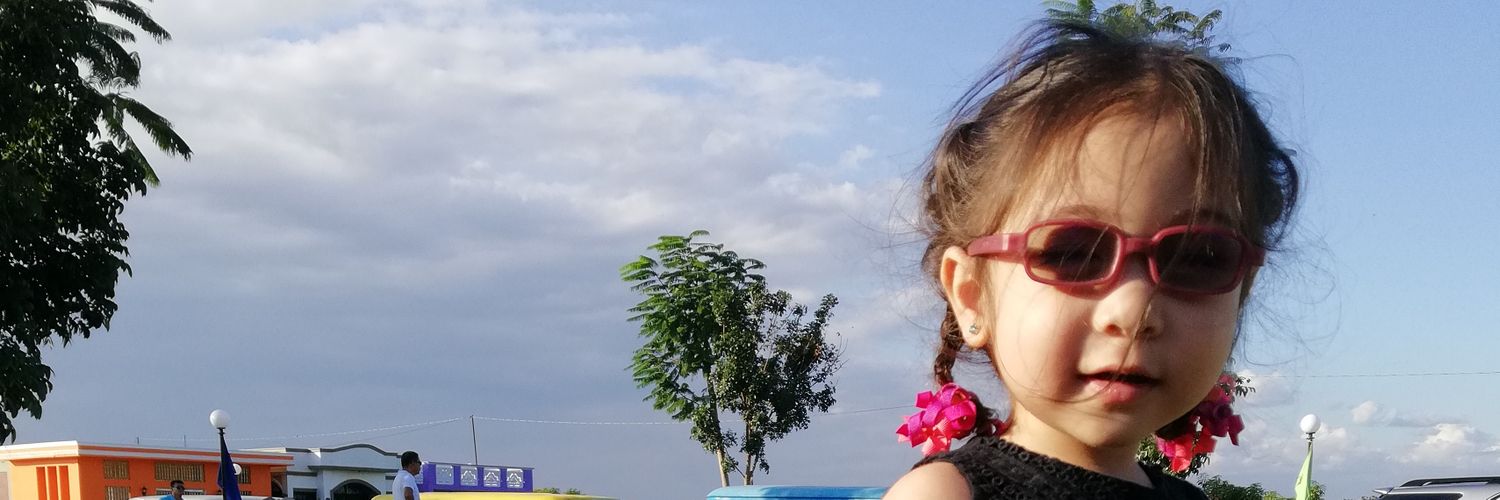 IceFlancia's profile banner image