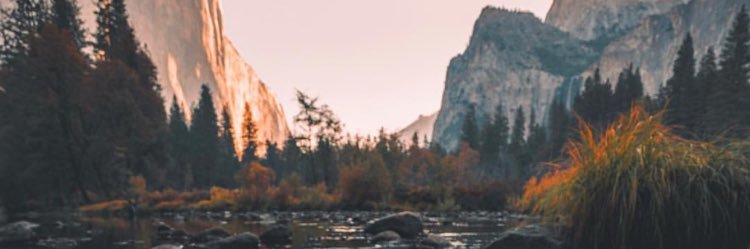 GeorgieB16's profile banner image