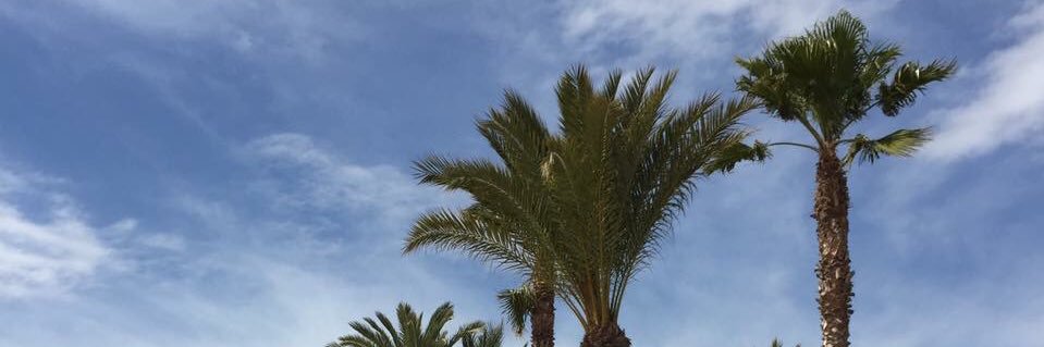 Bex banner