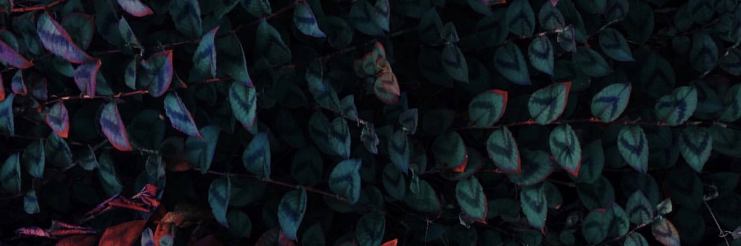 lhanson__'s profile banner image