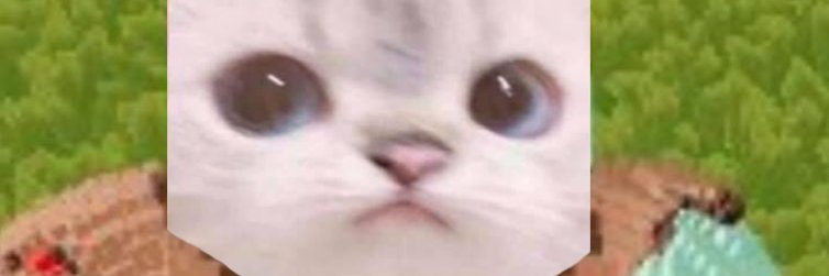 ScarNFT's profile banner image