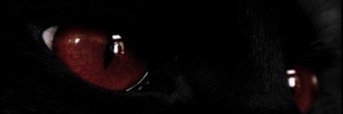 RealRonnieVibes's profile banner image