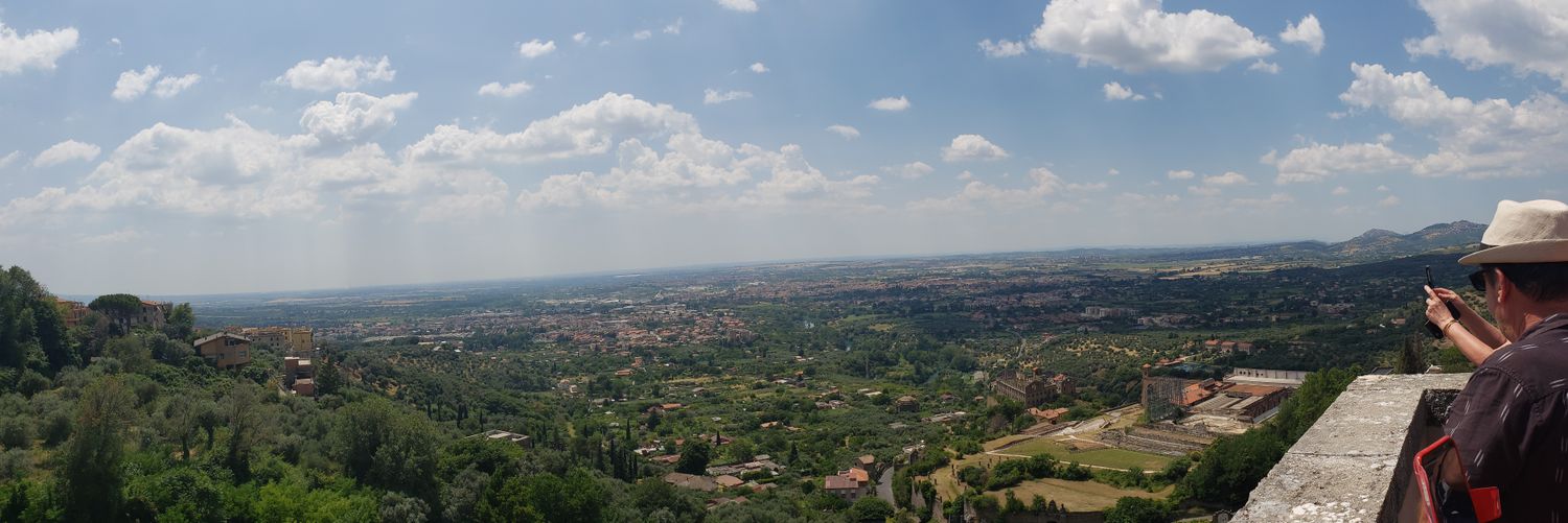 David Sergent banner