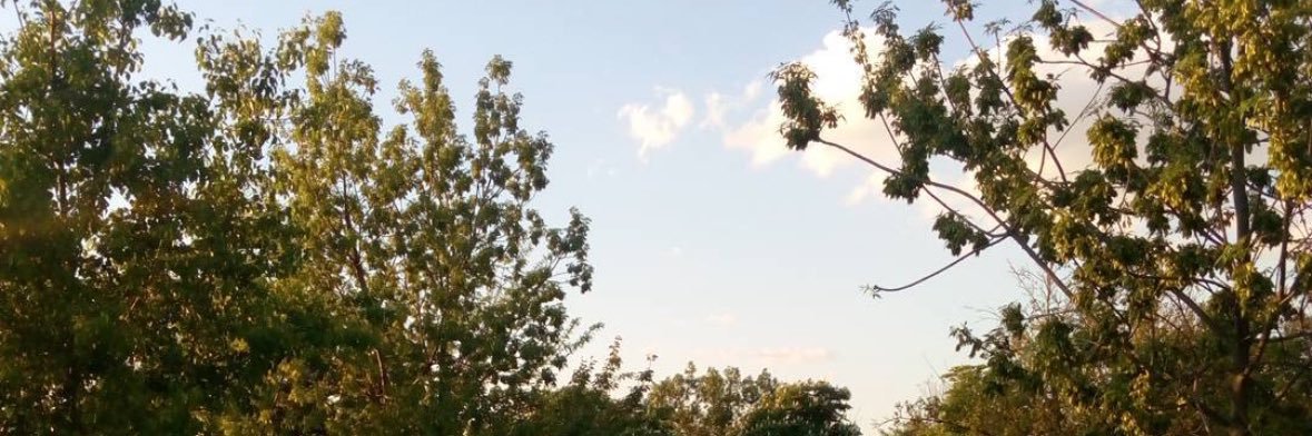 onurtuna's profile banner image