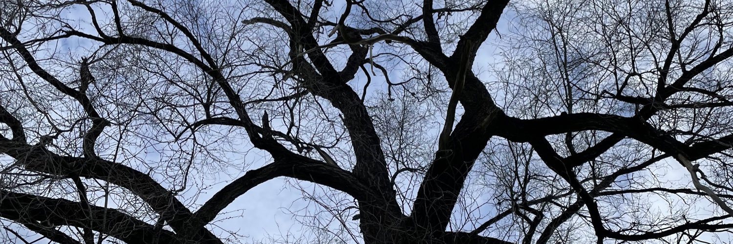 macy_greenfield's profile banner image