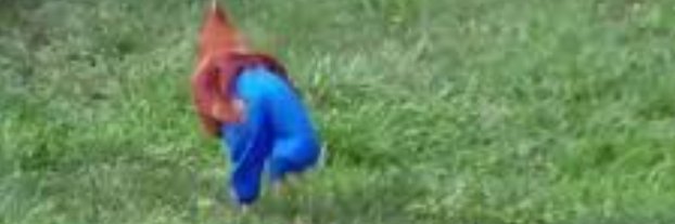 dabbiegalejr's profile banner image