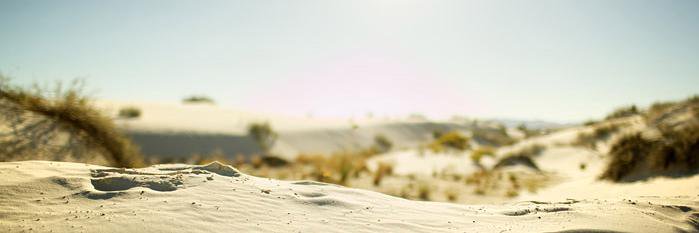 _purplefishh's profile banner image