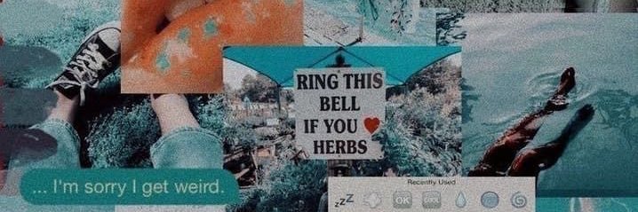 Torenisha22's profile banner image