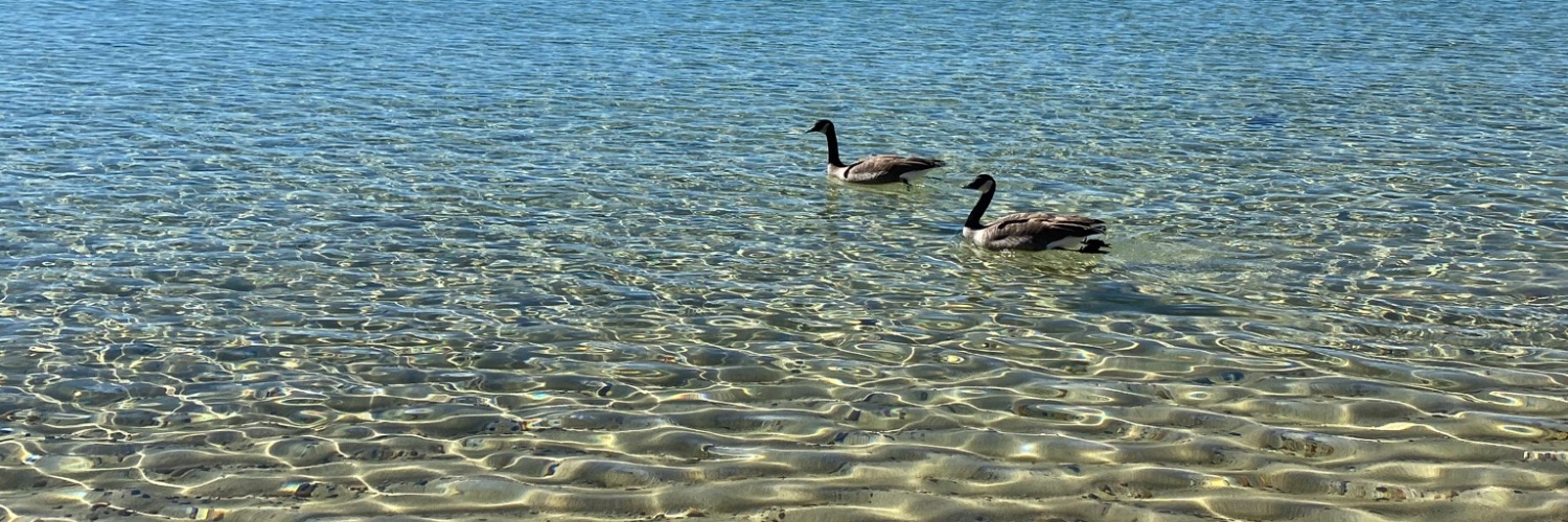Heena Mariyam banner