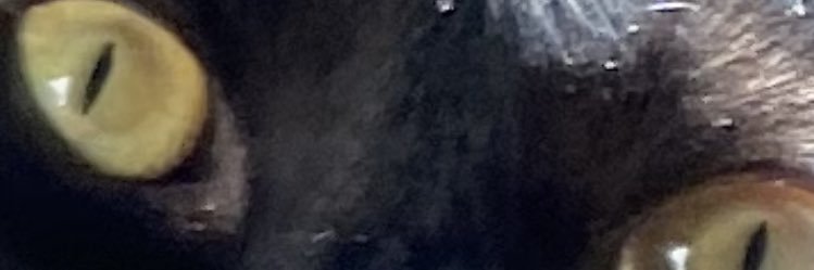 lmaowha's profile banner image