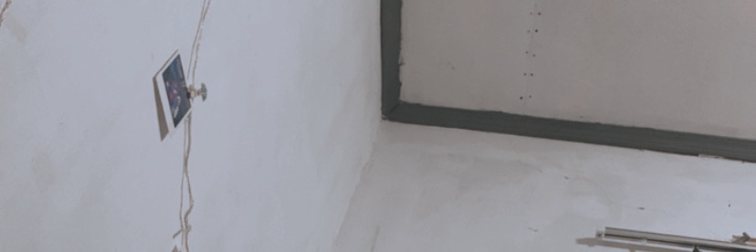 She_Di_No's profile banner image