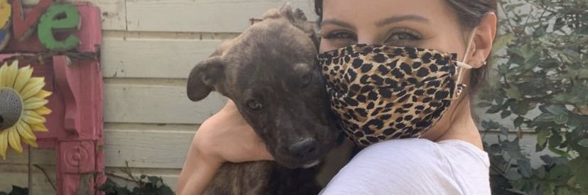 sonianunez_'s profile banner image