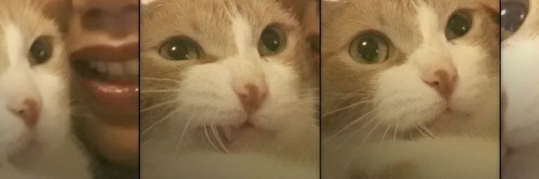 EdoEnvy's profile banner image