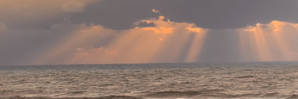 notgalia's profile banner image