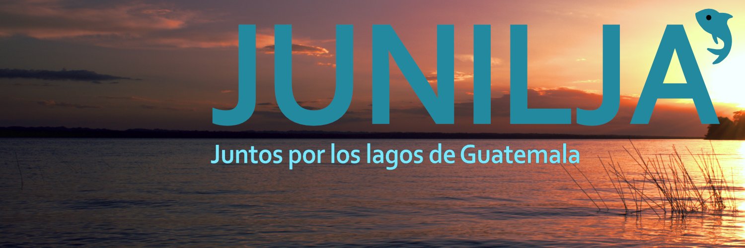 Junilja' ONG banner