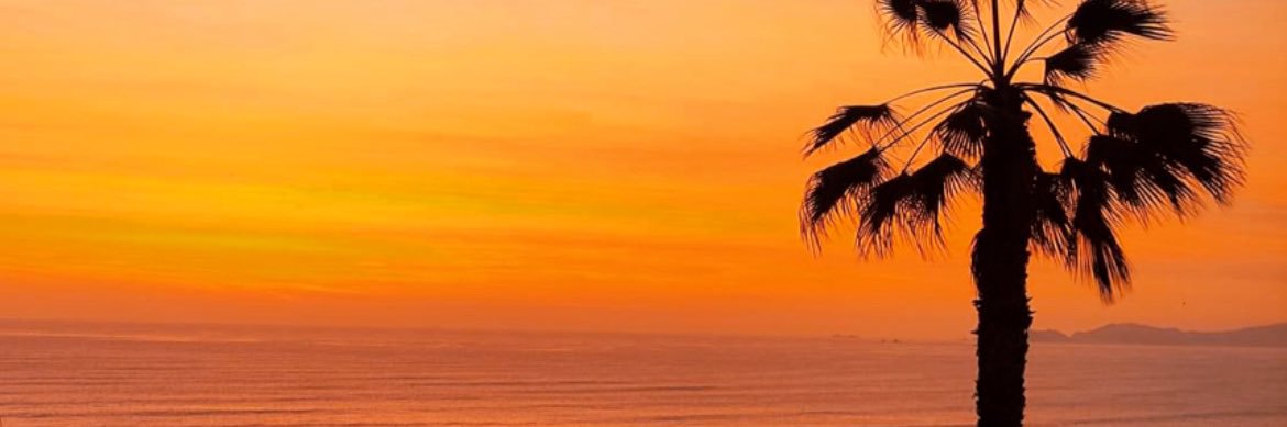 Ronymonant's profile banner image