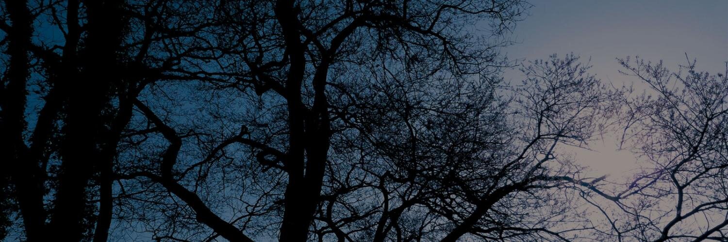 9GAmoon's profile banner image