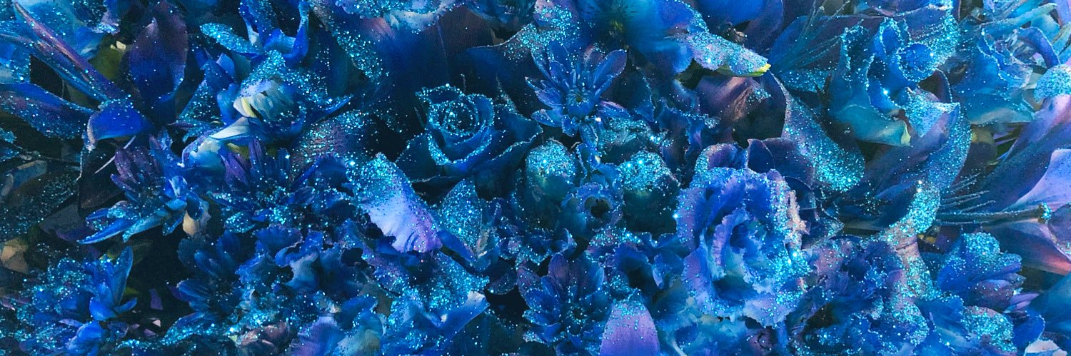 Rachelsea77's profile banner image