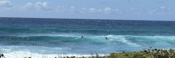 fabiojava Profile Banner