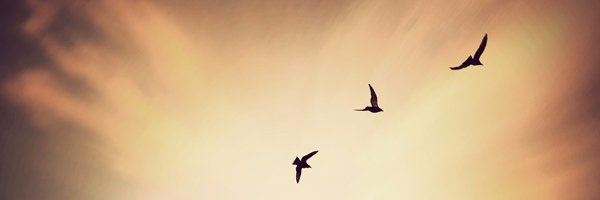 Quiero rolear! banner