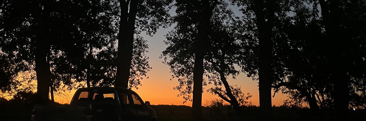 CardarelliPauli's profile banner image