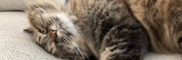 CopLoL_ Profile Banner