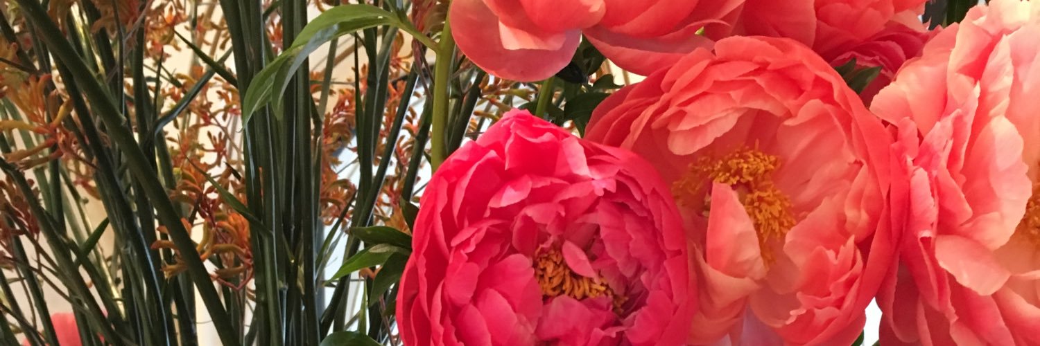 BEbstyne's profile banner image