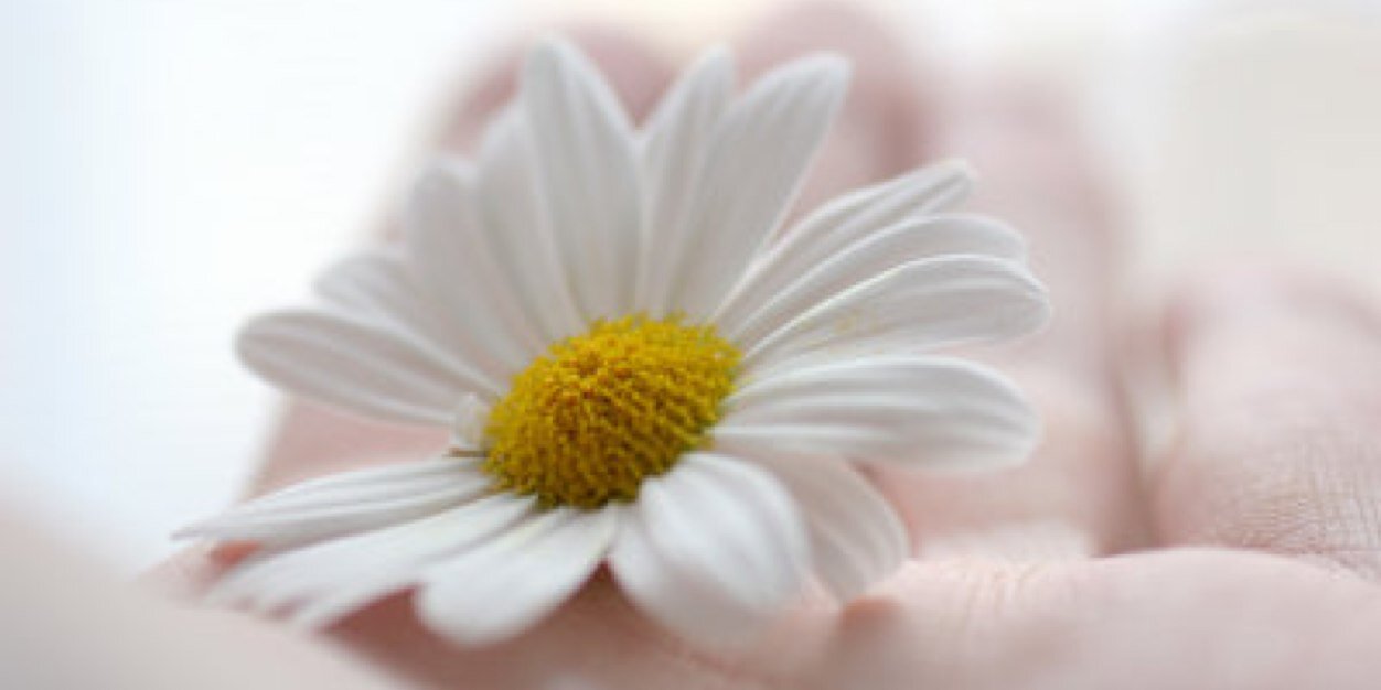 Musicar2's profile banner image